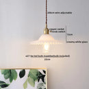 Axyaa Modern LED Pendant Lamp for Home Decor, Living Room, Dining Room, Bedroom