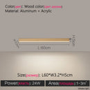 Axyaa Modern LED Ceiling Lamp | Living Room Kitchen Bedroom Office Lighting