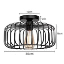 Axyaa American Birdcage Iron Light Fixture, Industrial Retro Style for Living Room, Bedroom