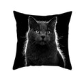 Axyaa Black Cat Pillowcases: Cute Kitty Lover Cushion Cover & Home Decor