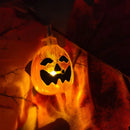 Axyaa Maple Leaf Sunflower Pumpkin Light String for Halloween Thanksgiving Wall Table Decor