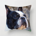 Axyaa French Bulldog Cushion Cover - 45X45CM