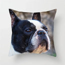 Axyaa French Bulldog Cushion Cover - 45X45CM