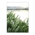 Green Leaf & Flower Scenery Canvas Wall Art Print by Axyaa for Modern Home Decor