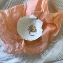 Axya Seashell Storage Plate, Stylish Home Decor & Photo Props, 7-8cm