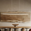 Axyaa Modern LED Ceiling Chandelier for Home Interior Decor and Bar Pendant Lamp