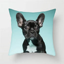 Axyaa French Bulldog Cushion Cover - 45X45CM