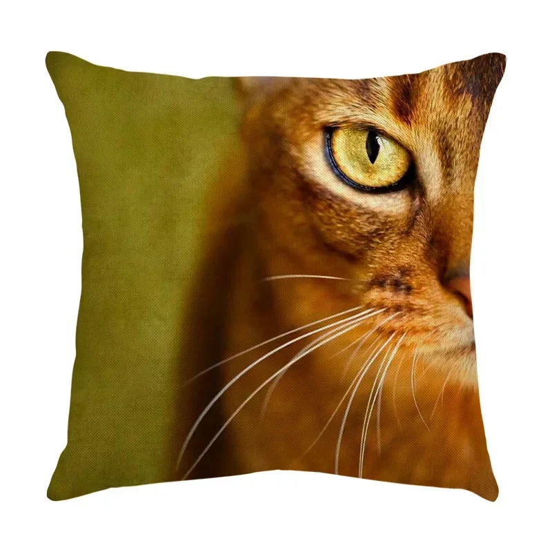 Axyaa Black Cat Cartoon Decorative Cushion Cover