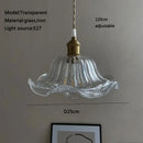 Axyaa Glass Pendant Chandelier Lighting E27 Hang Lamp for Home Decoration