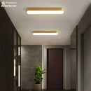 Axyaa Nordic LED Ceiling Lamp for Home Indoor Lighting in Living Room and Bedroom