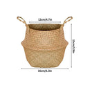 Axyaa Seagrass Rattan Basket: Toy & Flowerpot Organizer, Hanging Storage Bin
