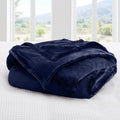 Axyaa Plush Fleece Blanket - Luxurious, Cozy, and Lightweight All-Season Throw