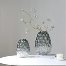 Axyaa Gradient Glass Vase Hydroponic Terrarium Home Decor Accessory