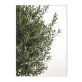Axyaa Green Leaves Indoor Plants Wall Art Print for Living Room Decor