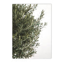 Axyaa Green Leaves Indoor Plants Wall Art Print for Living Room Decor