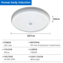 Axyaa LED Ceiling Light with Motion Sensor for Home Entryways & Staircases