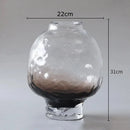 Axyaa Relief Glass Vase Hydroponics Plant Pots Room Aesthetic Decor Floral Vases
