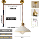 Axyaa Adjustable Glass Pendant Light with E27 Base for Living Room Bedroom Kitchen