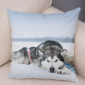 Siberian Husky Pillowcase - Axyaa Pet Sofa Cushion Cover, Decorative Dog Print