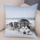 Siberian Husky Pillowcase - Axyaa Pet Sofa Cushion Cover, Decorative Dog Print