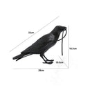 Axyaa Lively Bird Table Lamp Resin Home Decor Lighting Wall Fixture