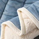 Axyaa Coral Fleece 3-Layer Winter Blanket - Soft, Warm, Washable Quilt