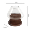 Axyaa Glass Vase Fluid Abstract Terrarium Home Decoration