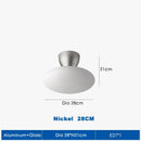 Axyaa Modern Designer Nickel Ceiling Light with Pot Lid, LED Indoor Lamp