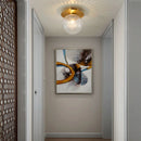 Axyaa Modern Iron Glass LED Ceiling Lamp for Home Lighting