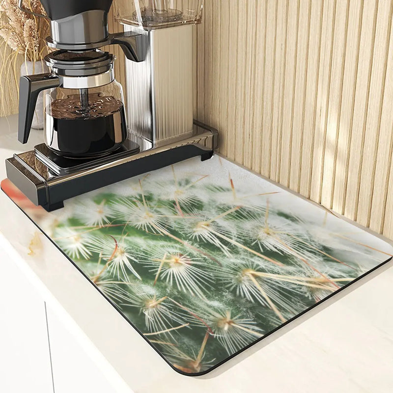 Axyaa Cactus Silicone Coasters Set for Kitchen Table - Absorbent Drying Mat