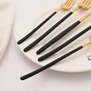 Axyaa Black Gold Stainless Steel Dinnerware Set for Dining & Events