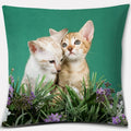 Cute Cat Series Pillowcase for Home Decor by Axyaa