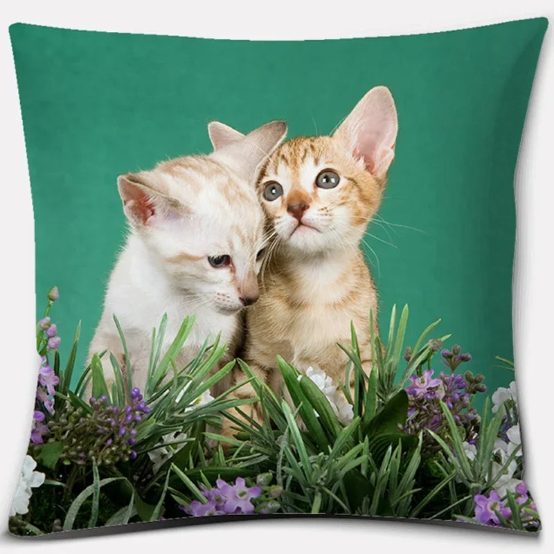 Cute Cat Series Pillowcase for Home Decor by Axyaa