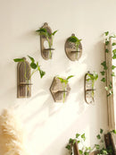 Axyaa Wood Wall Vase Green Plant Holder Home Decor Bouquet Tube Orb Decor