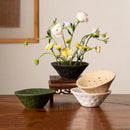 Axyaa Lotus Root Clay Bowl Vase for Hydroponic Floral Arrangements & Home Decor