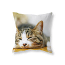 Axyaa Black Cat Cushion Cover for Sofa, Car, Office, Game Chair - Cute & Funny