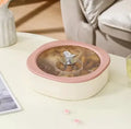 Axyaa Luxury Fruit Tray Candy Box Nut Dried Fruit Snack Storage