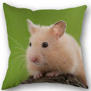 Axyaa Hamster Series Sofa Cushion Cover Pillowcase - Home Party Car Bedding