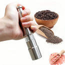 Axyaa Stainless Steel Thumb Press Salt Pepper Grinder for Barbecue Kitchen