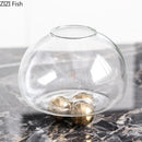 Axyaa Circular Glass Vase Hydroponics Flower Pot for Desk Decoration and Floral Arrangement
