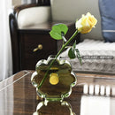 Axyaa Clear Glass Hydroponic Flower Vase for TV Cabinet Decor