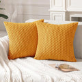 Axyaa Soft Striped Cushion Covers 20x20 Inch for Living Room Decor