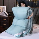Axyaa Winter Duvet - White Goose Down Core, Double Thickened Quilt