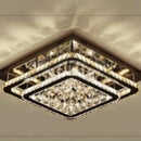 Axyaa Crystal Light with Remote Control, Color Changing LED Ceiling Light