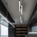 Axyaa LED Strip Ceiling Light for Modern Living Room & Bedroom Décor