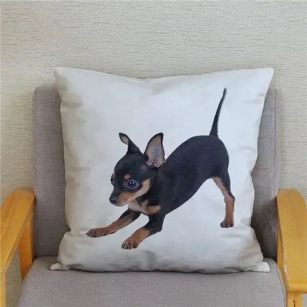 Chihuahua Dog Printed Cushion Cover by Axyaa for Home Decor