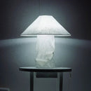 Axyaa Nordic Style Table Lamp for Living Room & Bedroom