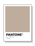 Axyaa Pastel Pantone Wall Art Prints for Modern Home Decor