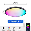 Axyaa Smart RGB WiFi Ceiling Light with Voice Control for Bedroom Decoration