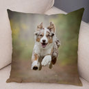 Axyaa Australian Shepherd Pillow Cover - Cute Dog Animal Cushion